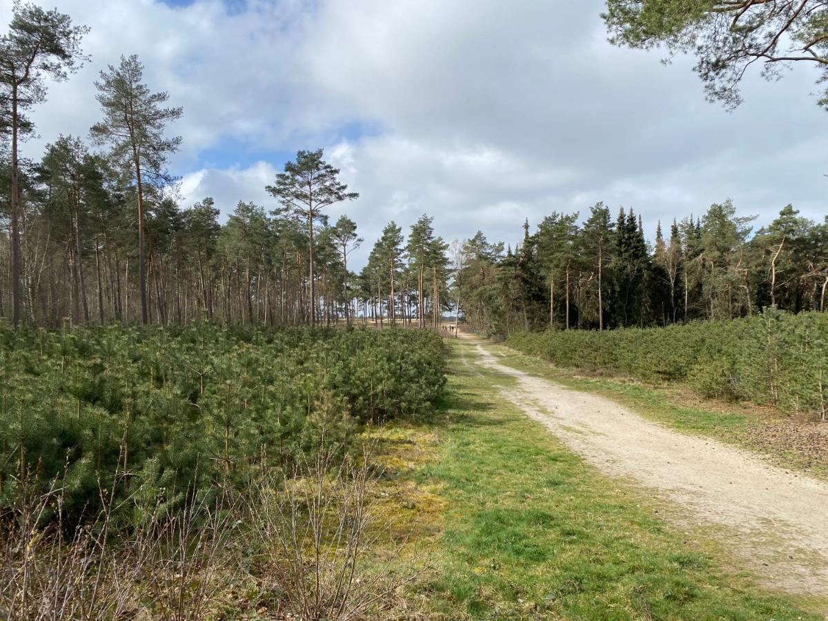 Doornspijk Chalet Dennenvelt 빌라 외부 사진