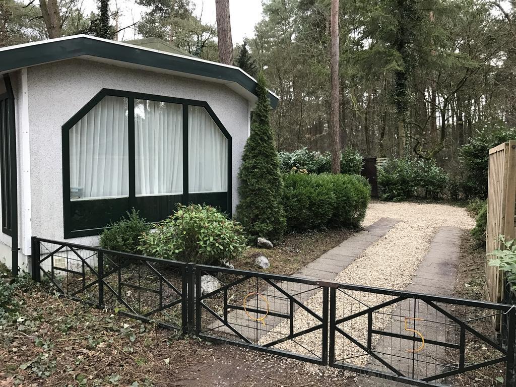 Doornspijk Chalet Dennenvelt 빌라 외부 사진