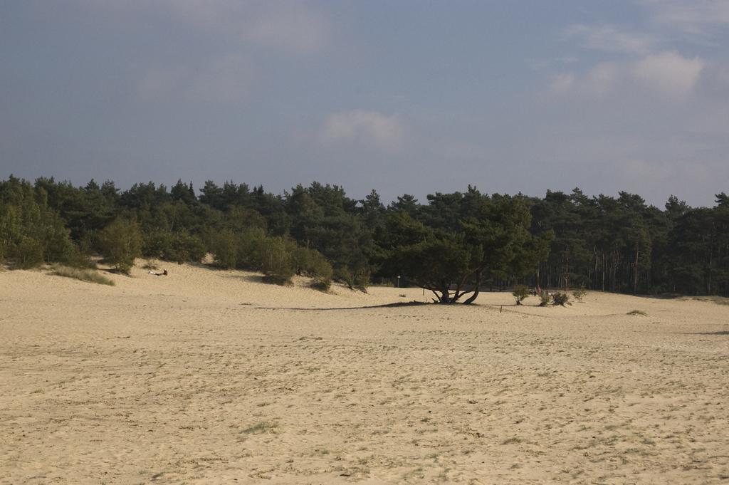 Doornspijk Chalet Dennenvelt 빌라 외부 사진